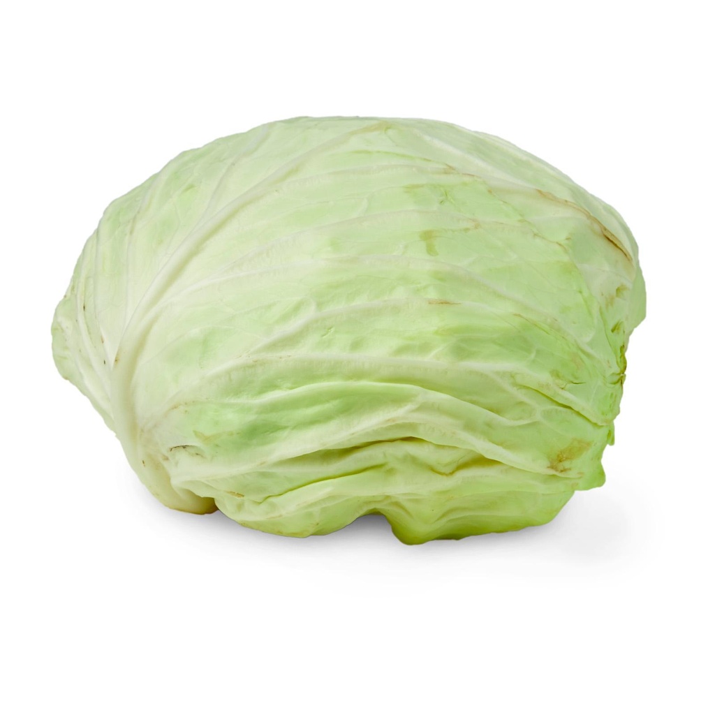 CABBAGE