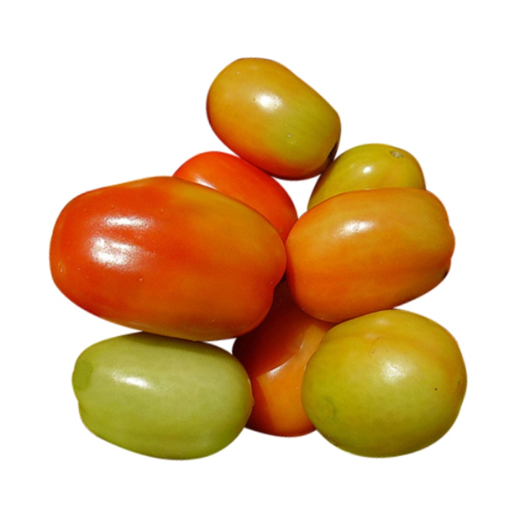 TOMATO