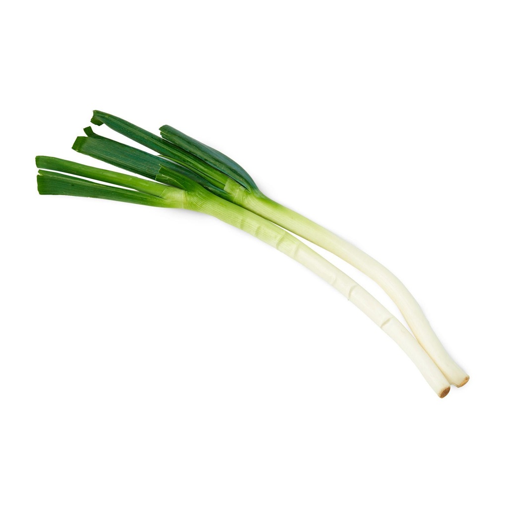 ONION LEEKS