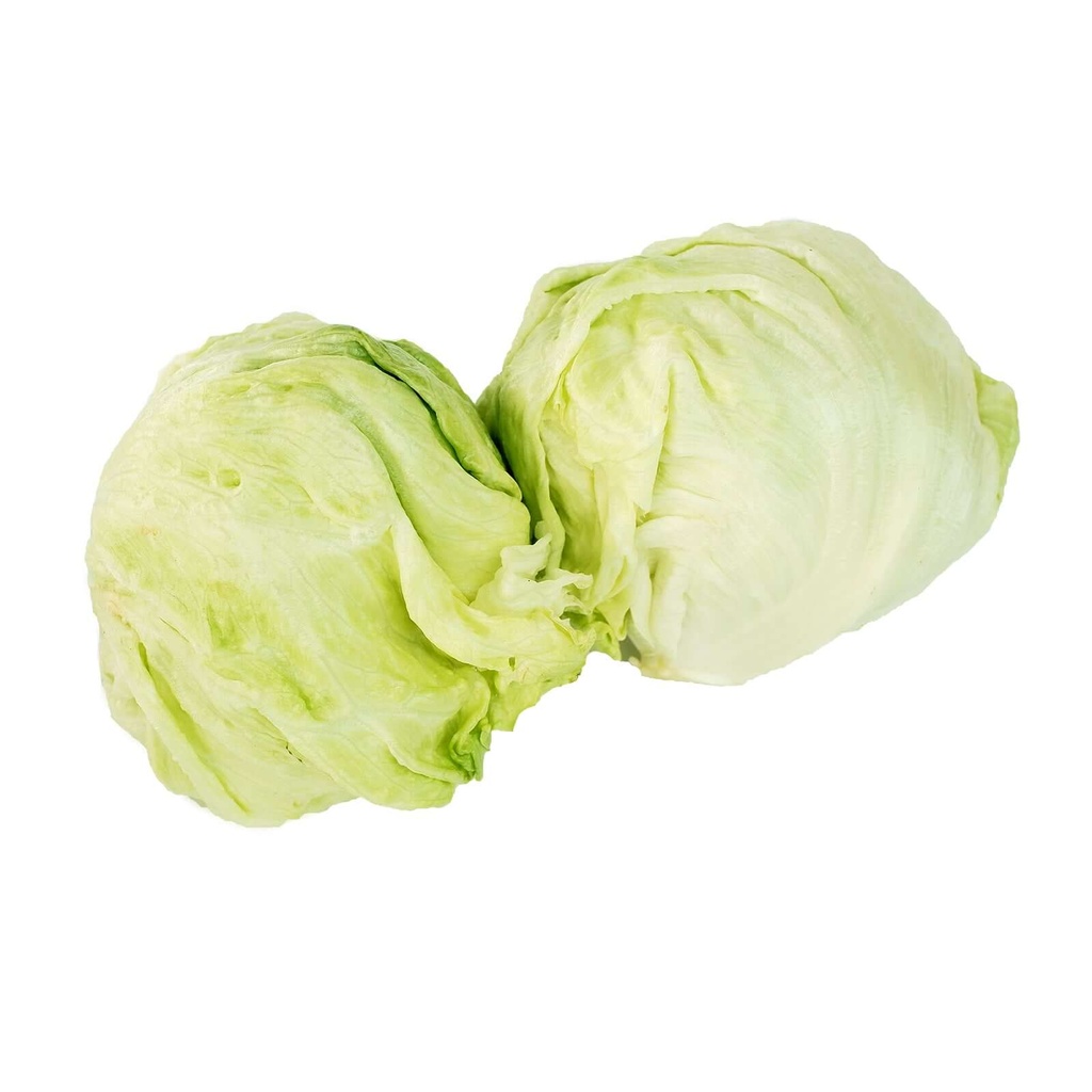 LETTUCE ICEBERG