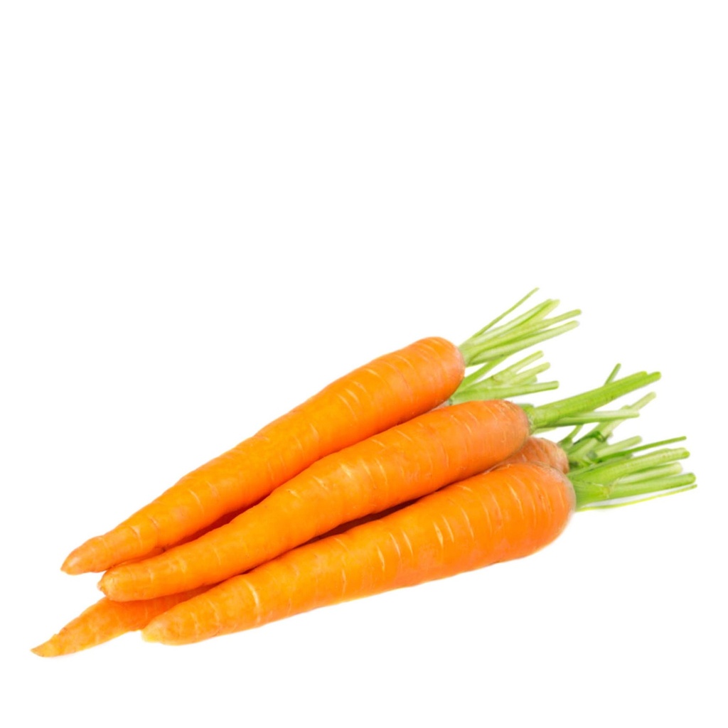 CARROTS | NVATFresh